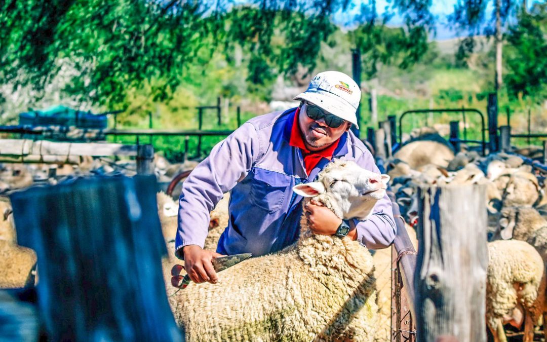 Musa Mandela Shines Through ECRDA’s Support Programme