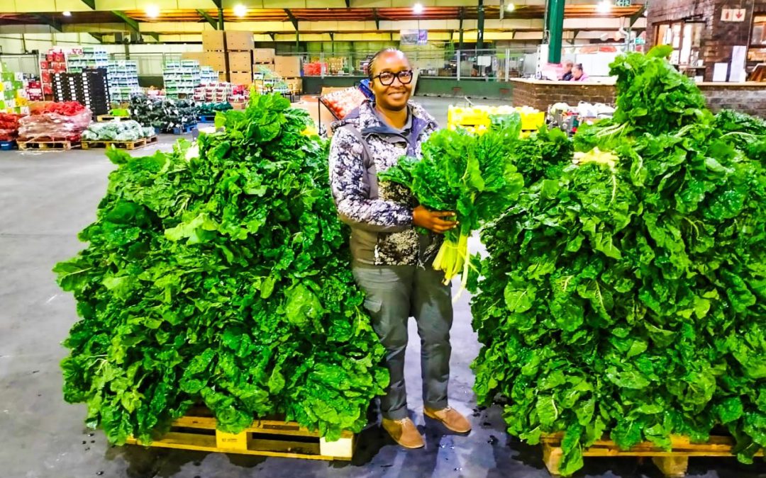 ECRDA Empowerment in Action: Aruzabiz Delivers High‑Quality, High‑Demand Produce