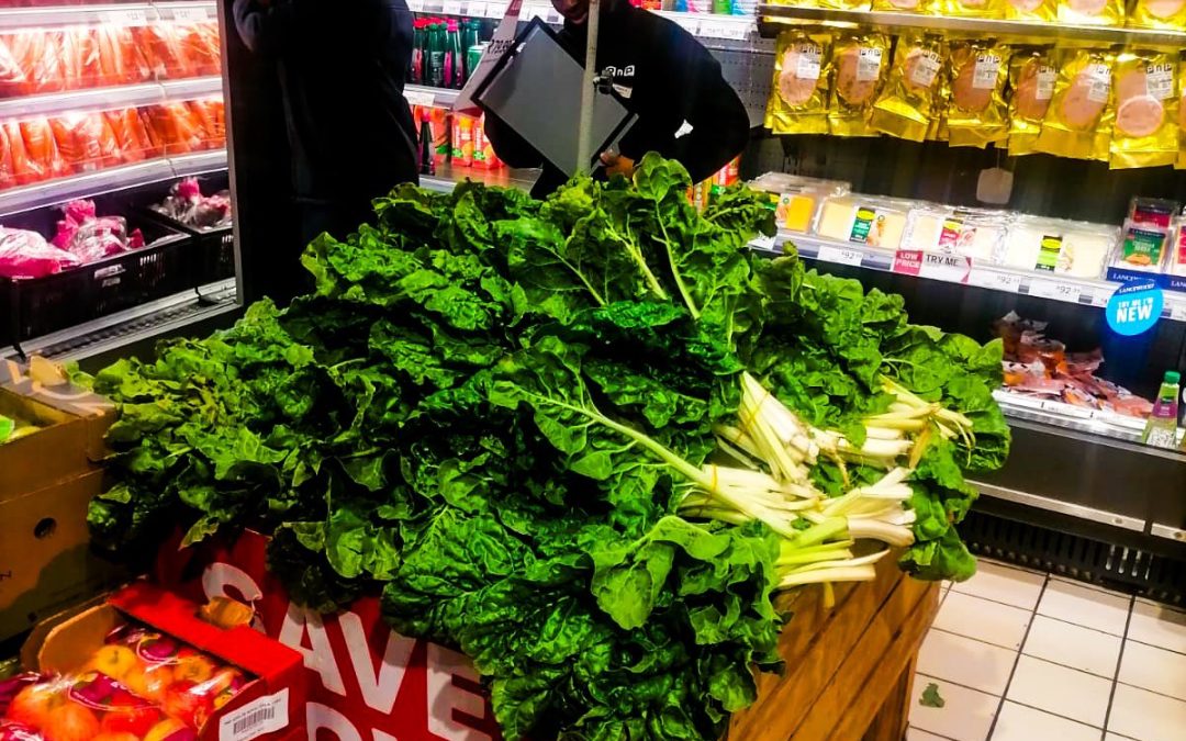 It’s Harvest Time at Tshabo RED Hub!