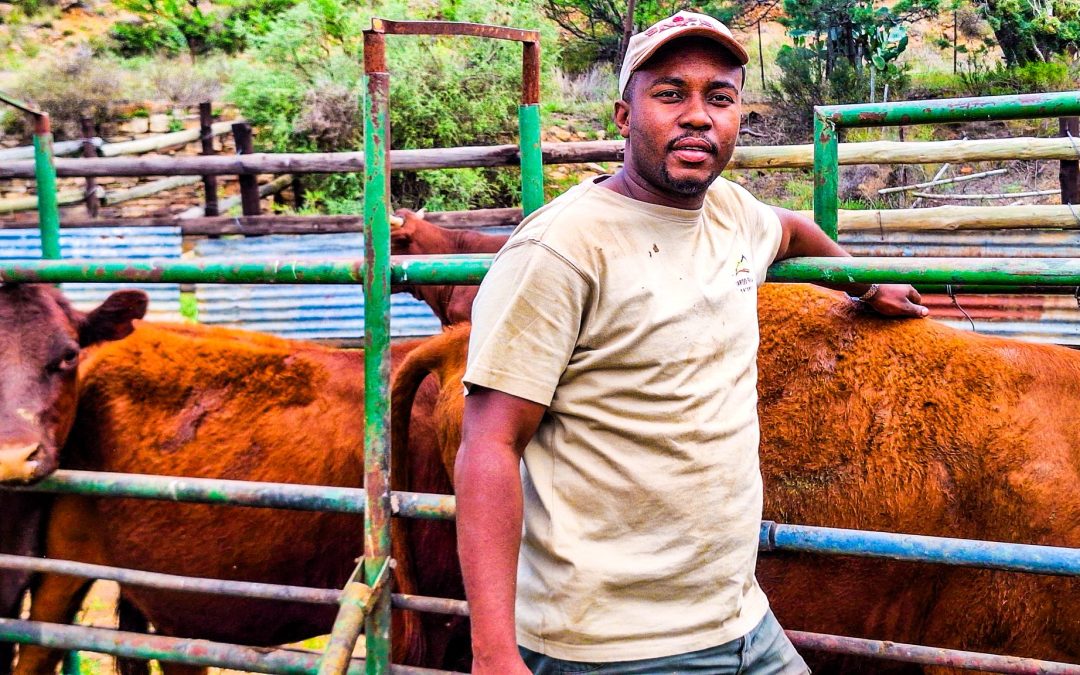 Turning Dreams Into Reality: ECRDA Supports Wandile Khave’s Farming Dream