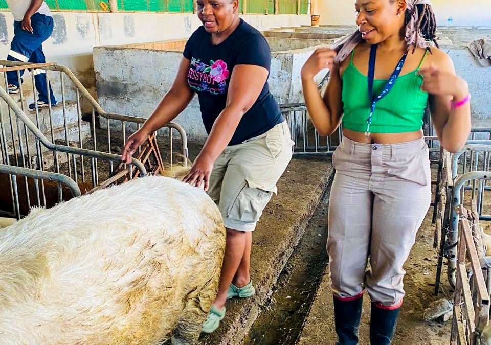 Cingisita Piggery Leads Advanced Training for Emerging Pig Farmers Through ECRDA Support