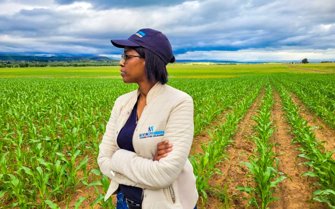 Eastern Cape Agri-Entrepreneurs Surpass Targets in Jobs and Food CropProduction
