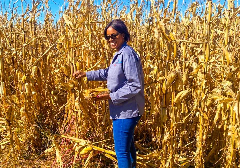 Reviving an Old, Dilapidated Farm into Agricultural Success